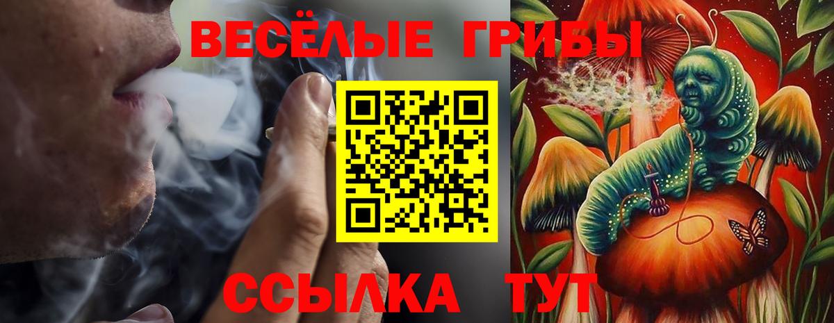 Псилоцибиновые грибы Cubensis  Вход с VPN  закладки  Ессентуки 