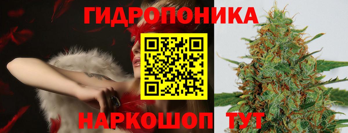 Каннабис сатива  Канабис SATIVA & INDICA  Бошки марихуана LSD WEED  Вход с VPN  Ессентуки  Шишки марихуана семена 